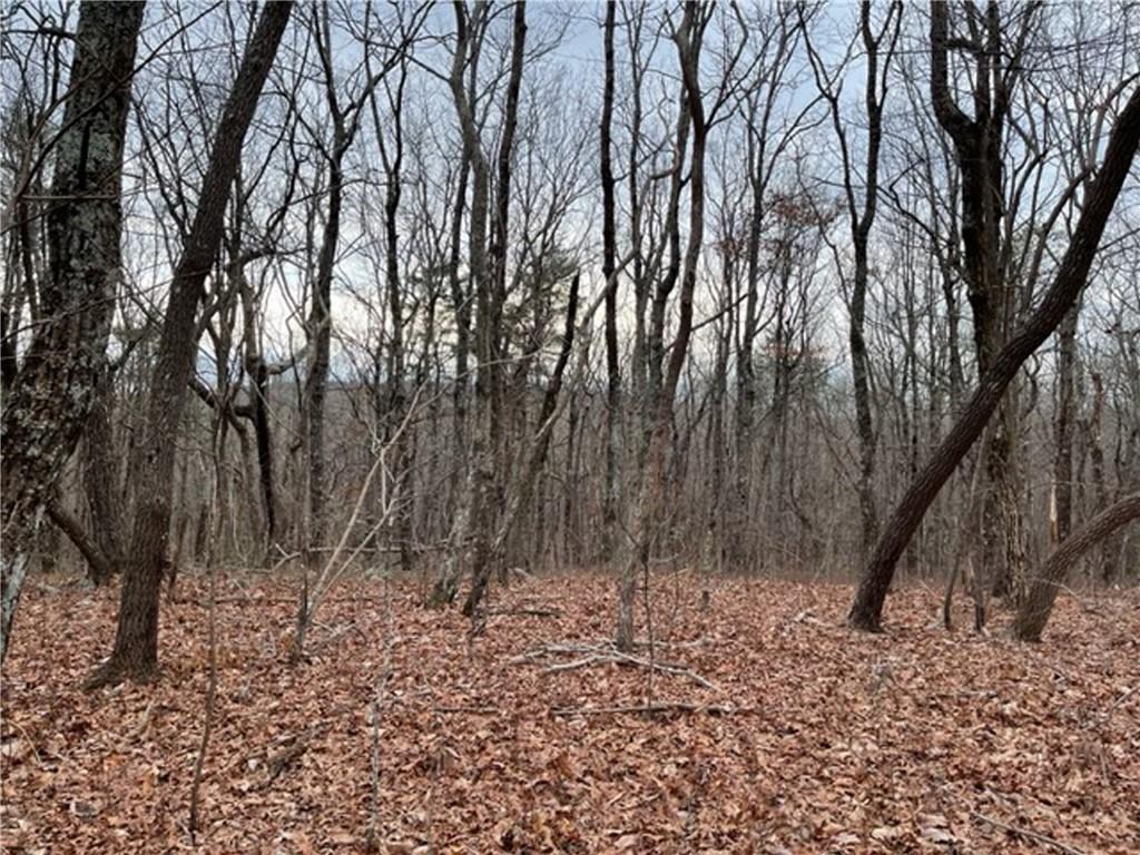184 St Andrews Way, Ellijay, GA 30536