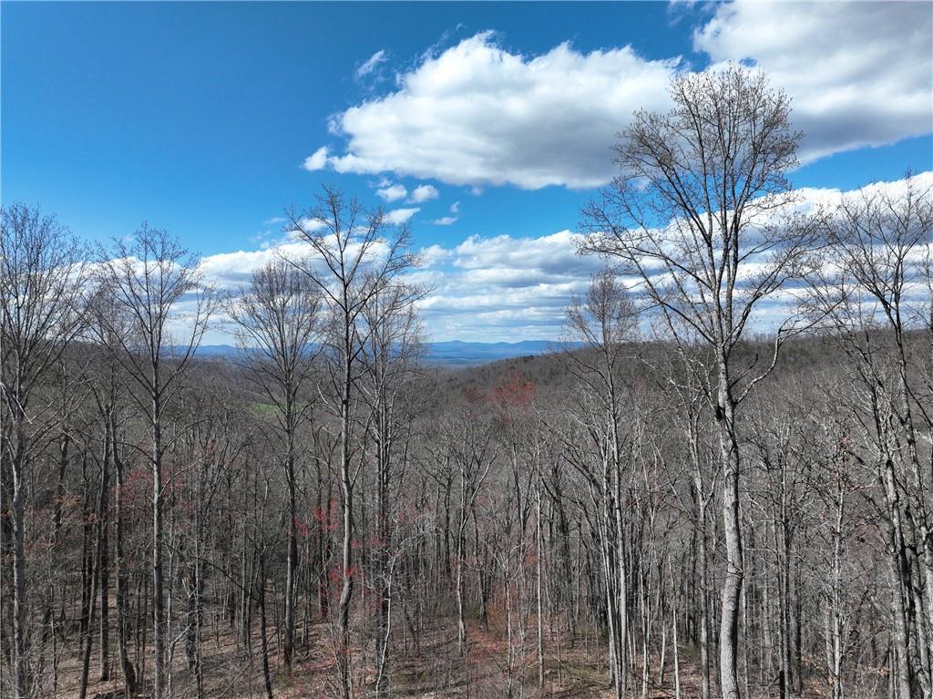 270R Stone Cliff Dr., Ellijay, GA 30536