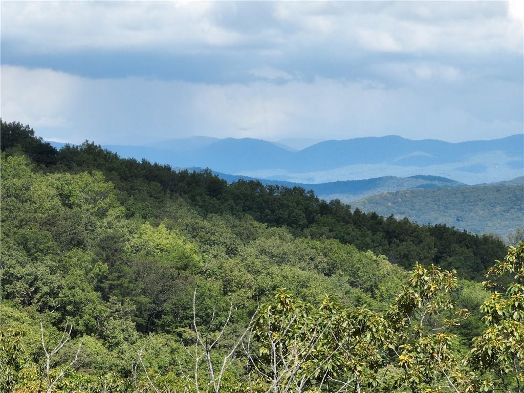 234 Stone Cliff Dr., Ellijay, GA 30536