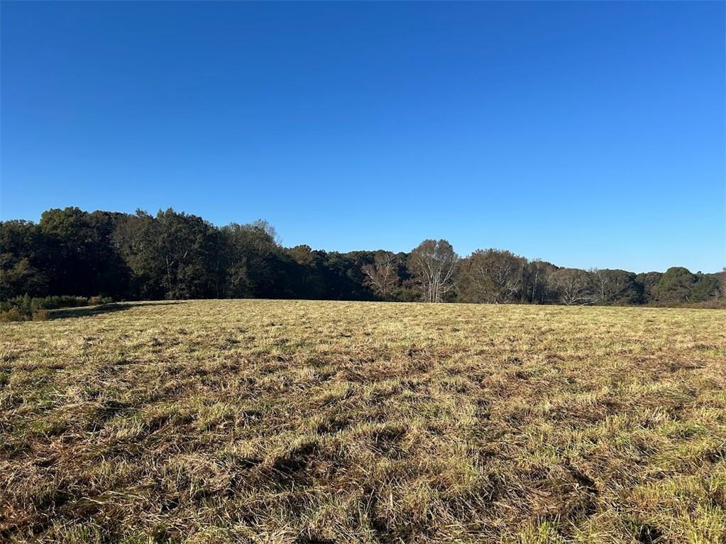Old Columbus Rd., Bowdon, GA 30108