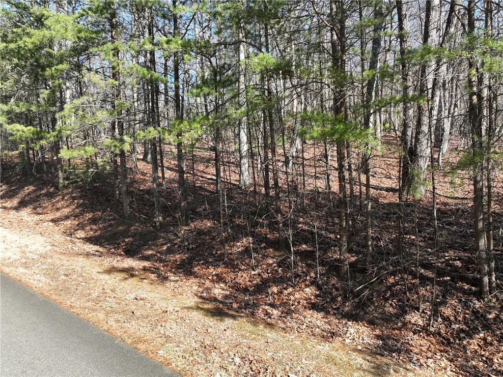 57 St Andrews Way, Ellijay, GA 30536