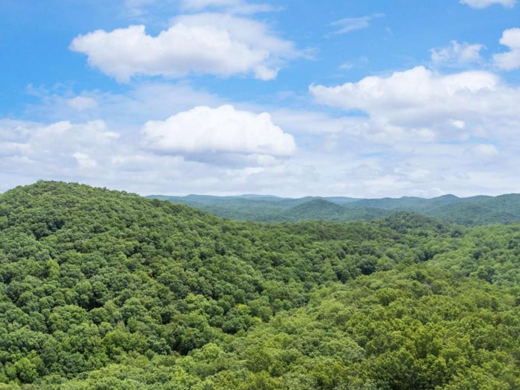 57.64 Ac Mountain Ash Rd., Ellijay, GA 30536
