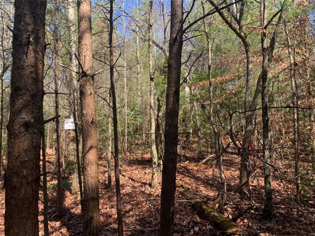 East New Hope Rd., Ellijay, GA 30536