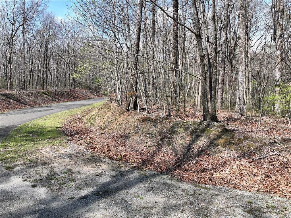 189 St Andrews Way, Ellijay, GA 30536