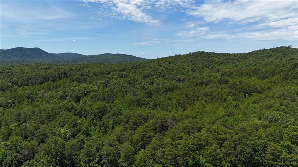587 E Valley Rd., Rydal, GA 30171