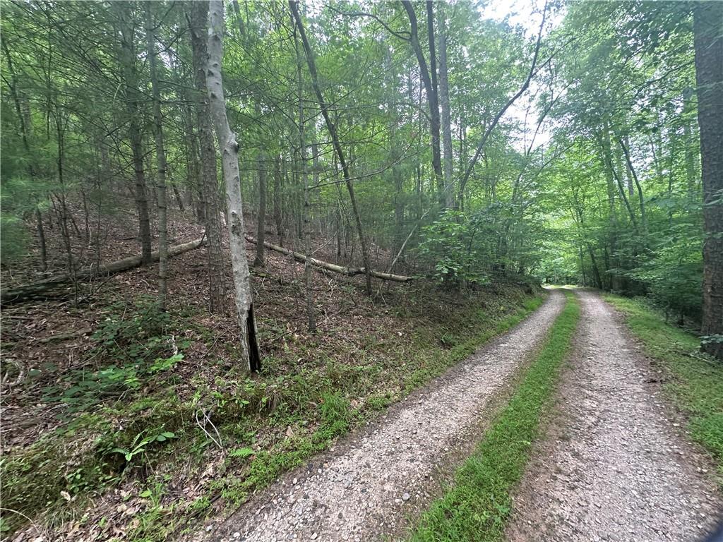 TRACT1 New Bethel Ch Rd., Dawsonville, GA 30534