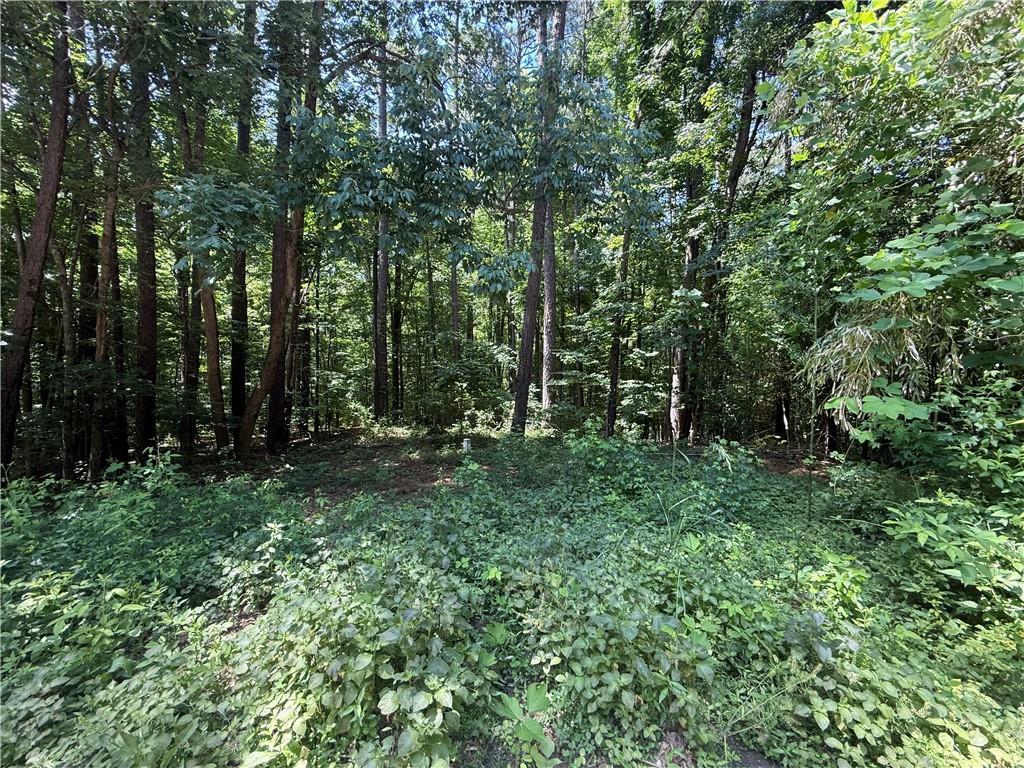 Heron Court, Monticello, GA 31064