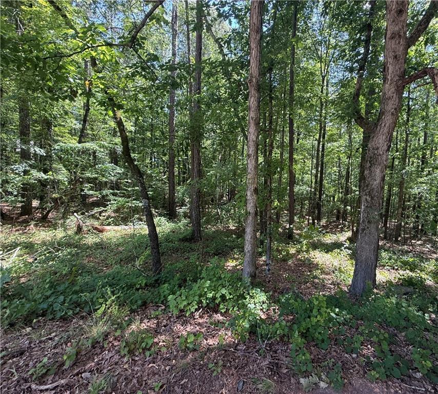 Oriole Circle, Monticello, GA 31064