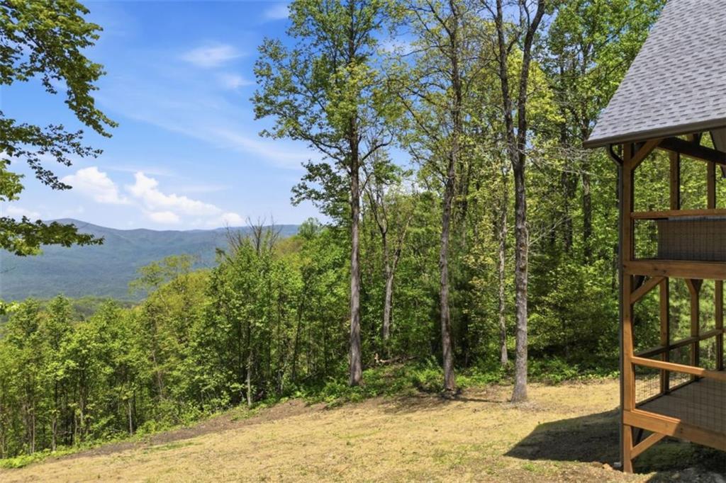 30 Wilderness View, Chatsworth, GA 30705