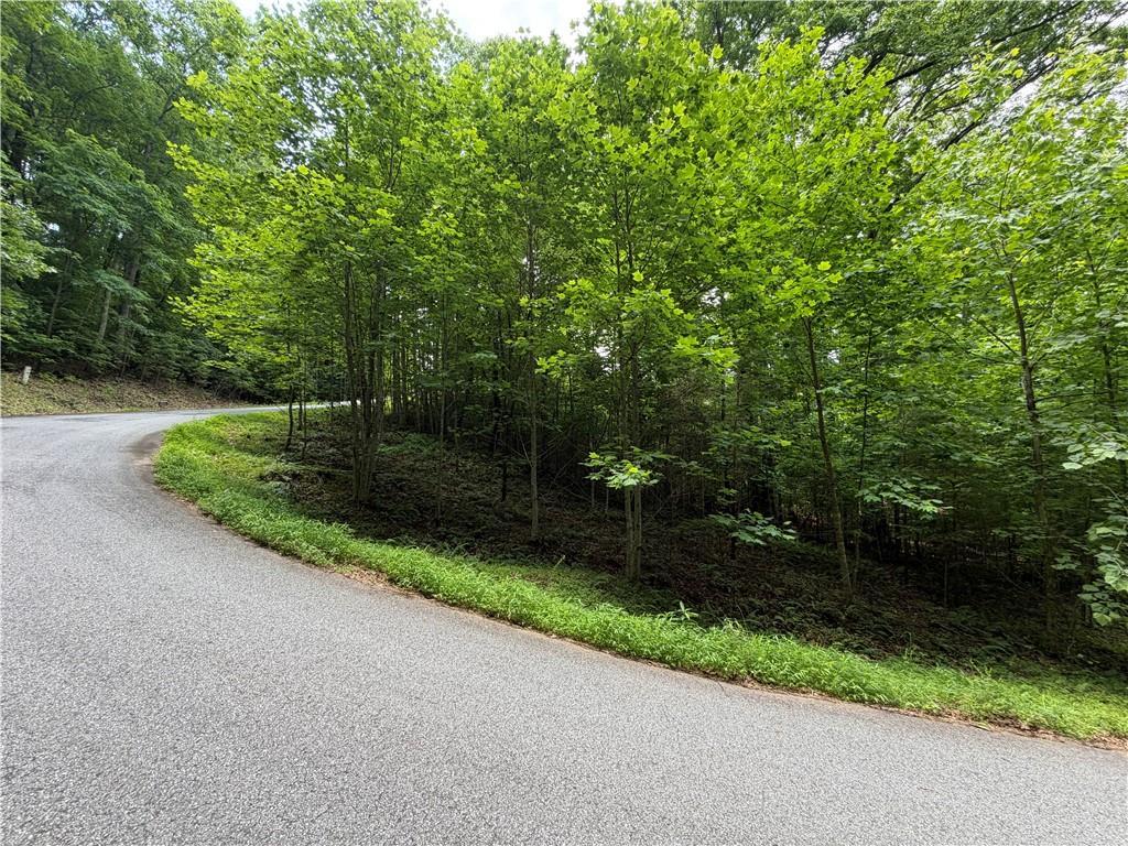 Lot 19 Mill Ridge Rd, Hiawassee, GA 30546