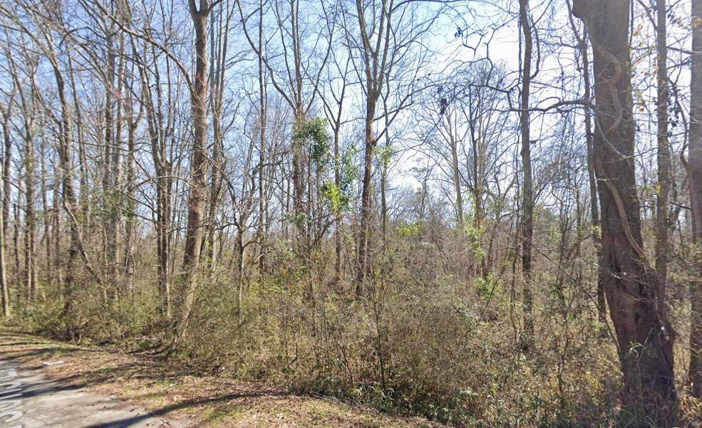Parsons Ln., Sandersville, GA 31082