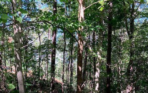 Red Oak Tr., Ellijay, GA 30540