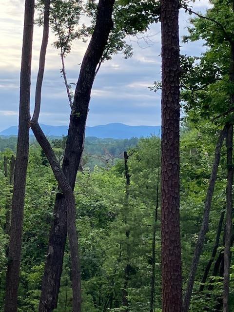 Lt 132 Red Oak Tr., Ellijay, GA 30540