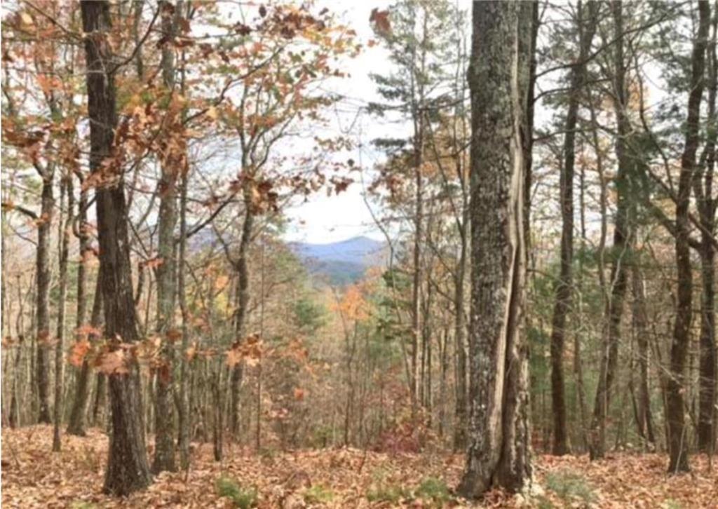 Lot 17 Abbott Mill Rd., Ellijay, GA 30540