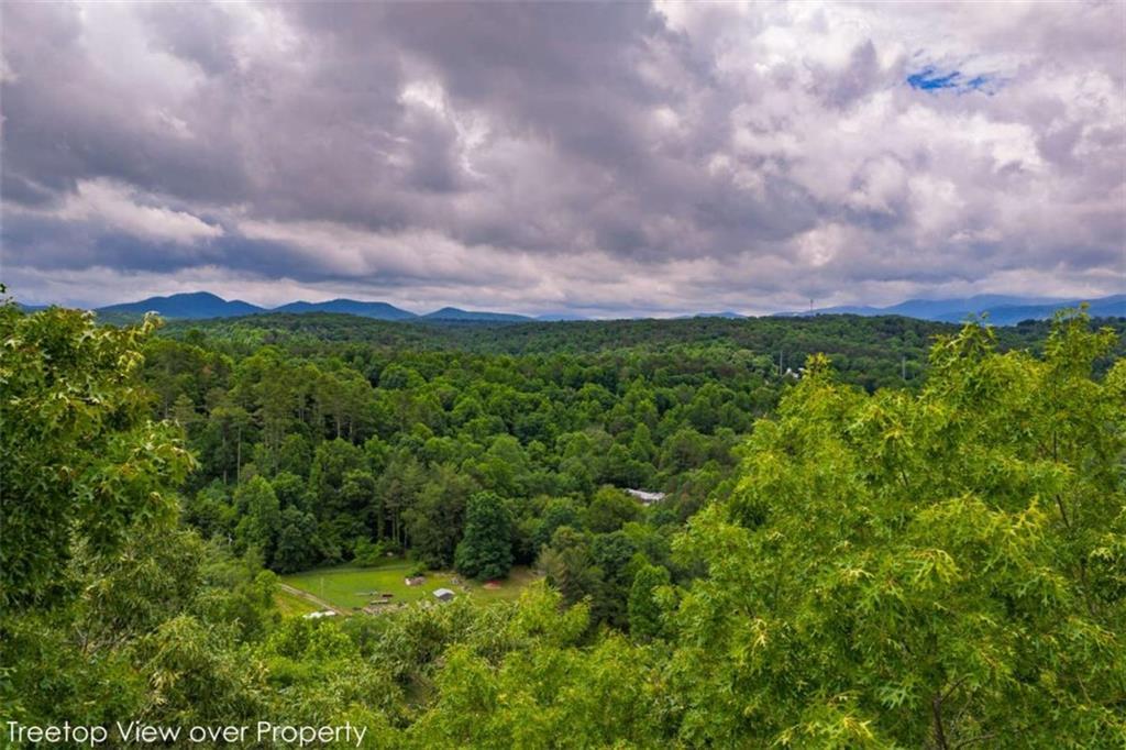 9 Deer Haven Dr., Morganton, GA 30560