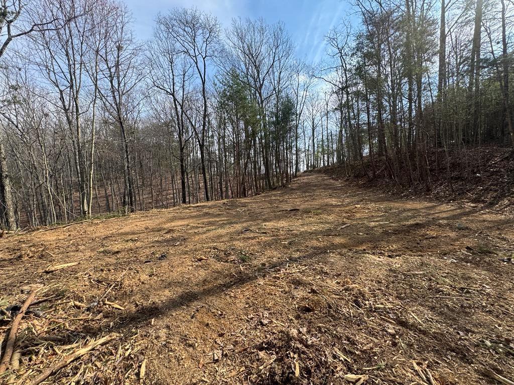 1450 Hanna Dr., Ranger, GA 30734