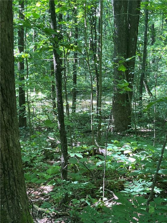 Monument Rd., Jasper, GA 30143
