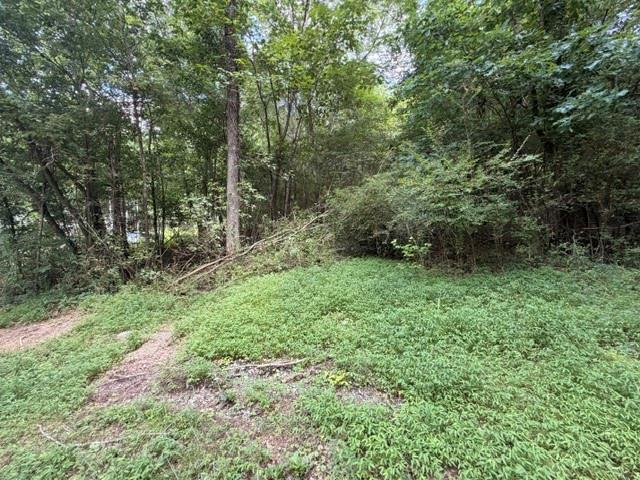280 Nixon Rd., Summerville, GA 30747