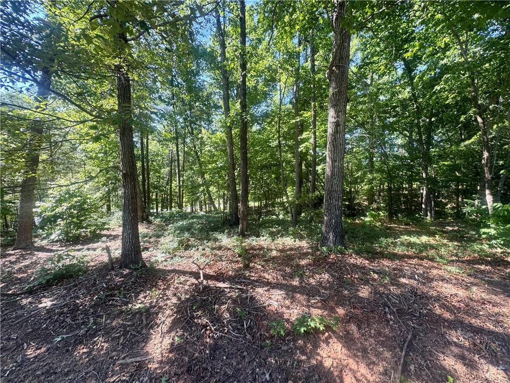 Teel Mountain Dr, Cleveland, GA 30528
