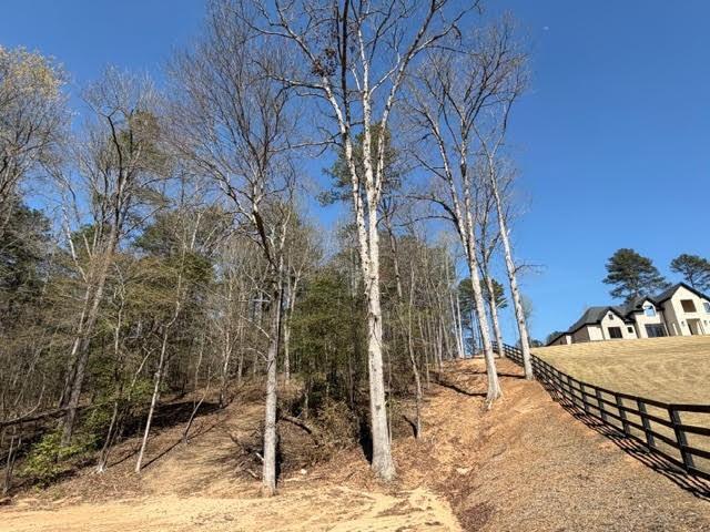 Lot 0 Jack Pittman Road, Dacula, GA 30019