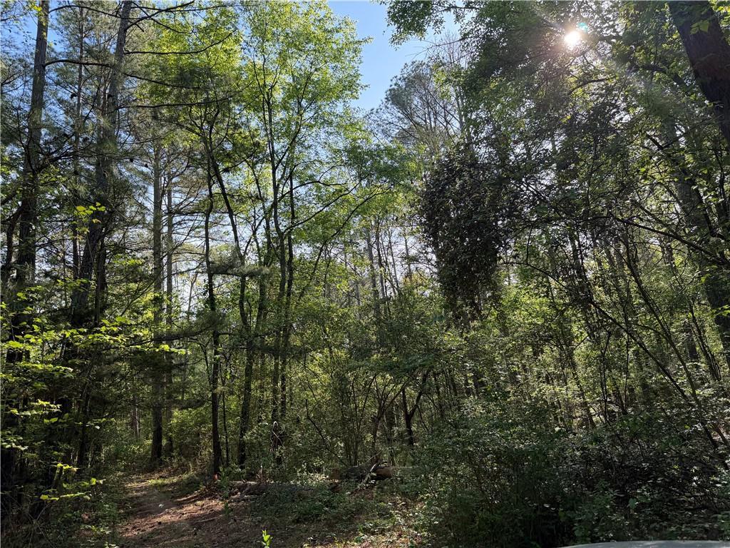 Clear Lake Dr., Adairsville, GA 30103