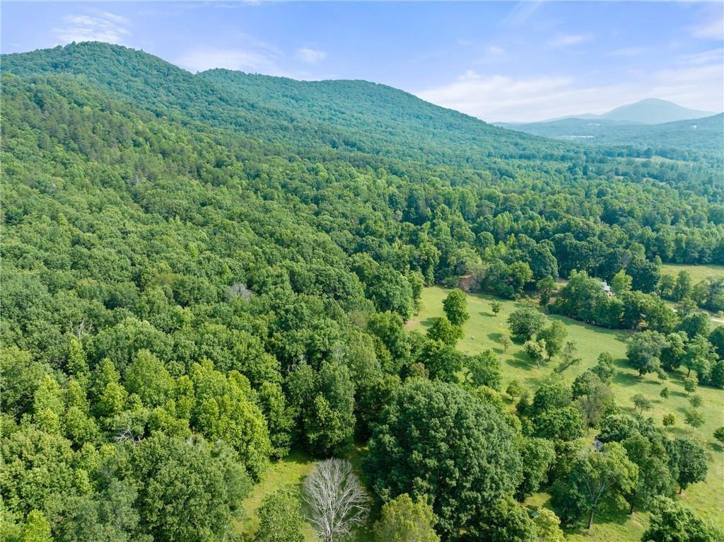 00 Freeman View Trail, Cleveland, GA 30528