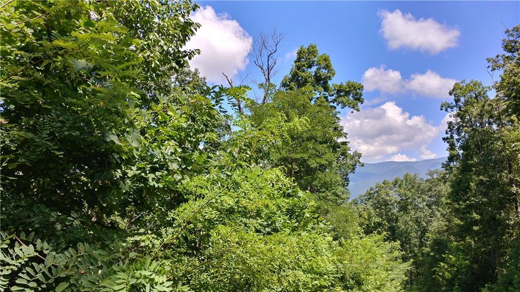 Goldmine Dr., Ellijay, GA 30536