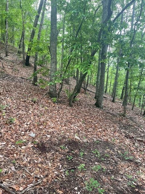 356 Orieole Ct., Ranger, GA 30734