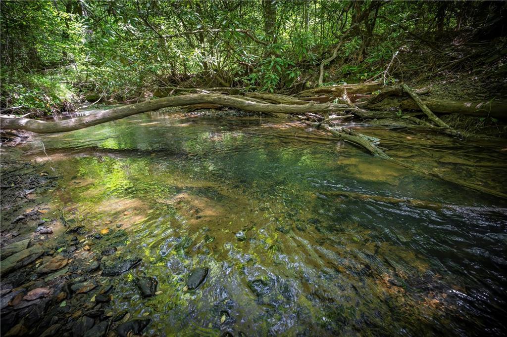 LT1-1A Jonica Gap Rd., Mineral Bluff, GA 30559