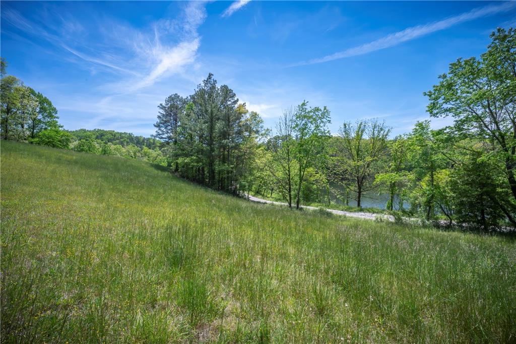 LT2-2a Waterstone Way, Mineral Bluff, GA 30559