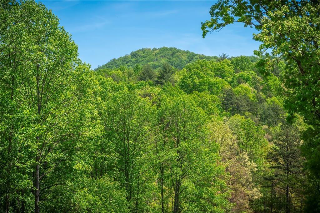 LT4-4a Waterstone Way, Mineral Bluff, GA 30559