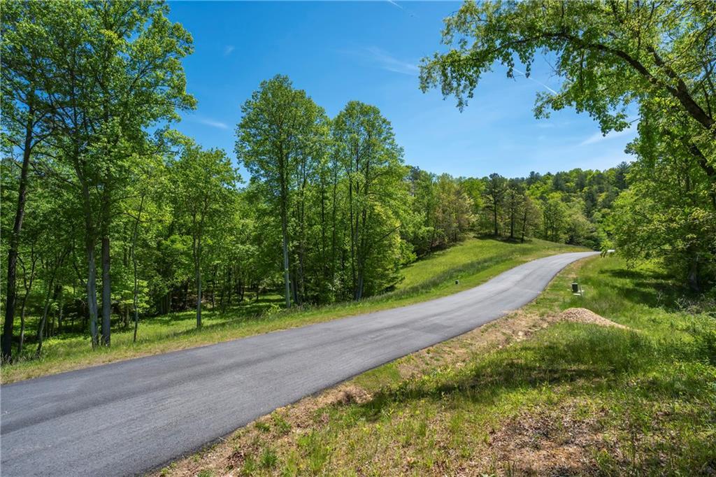 LT5-5a Waterstone Way, Mineral Bluff, GA 30559