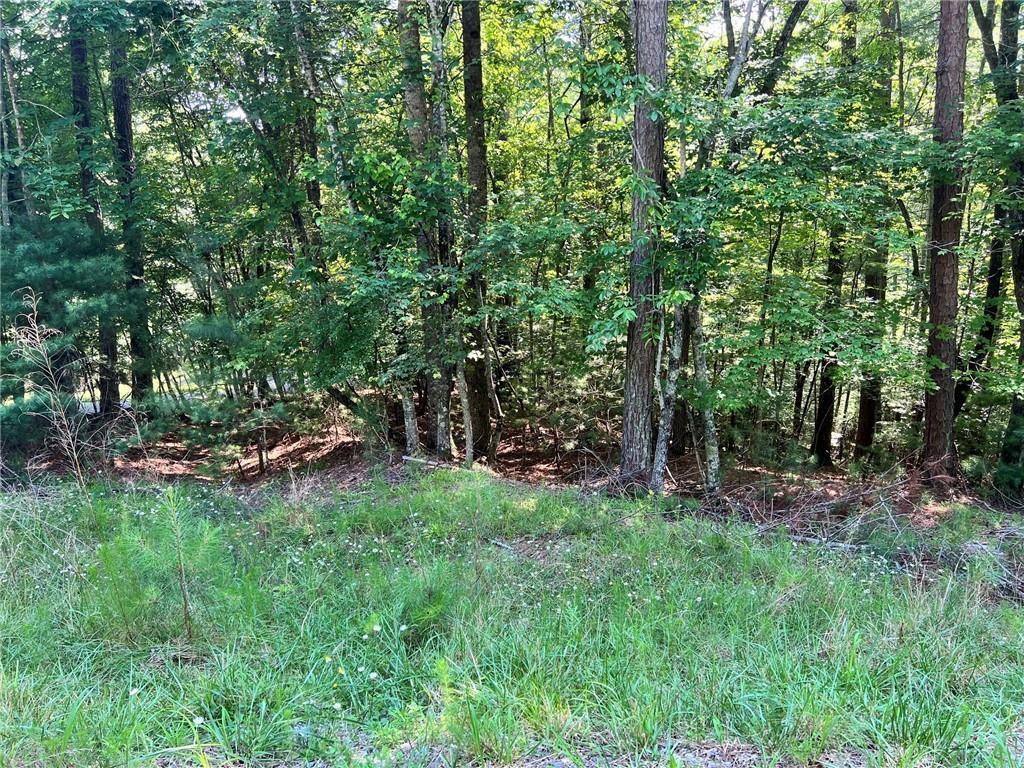 00 Alpine 3625 Dr., Ellijay, GA 30540