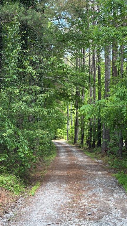 340 Wash Wilson Loop, Blue Ridge, GA 30513