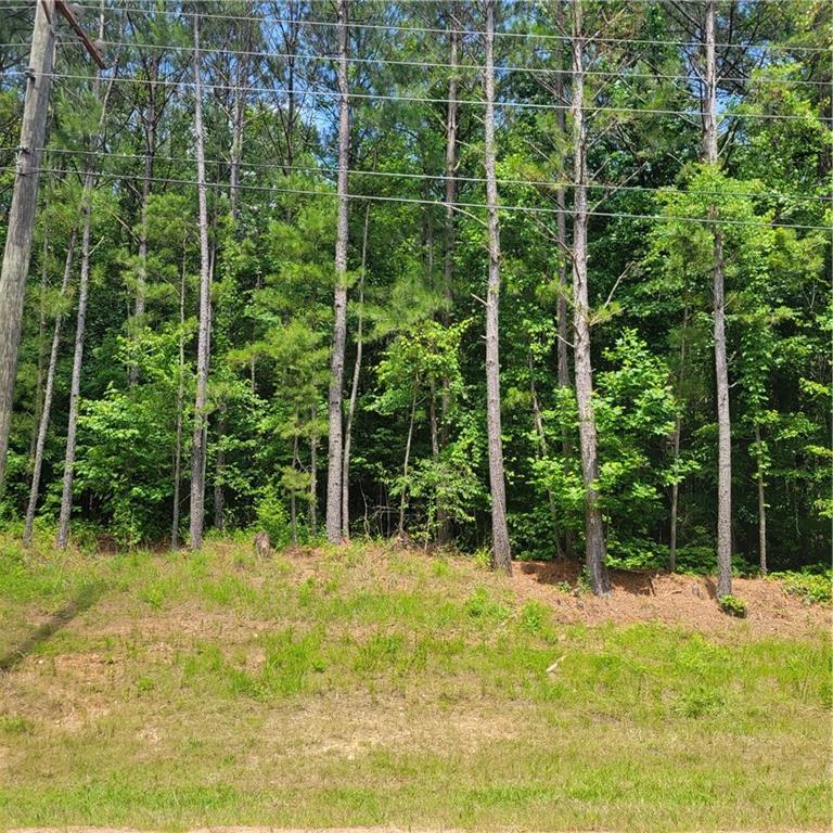 00 Bohannon Road, Grantville, GA 30220