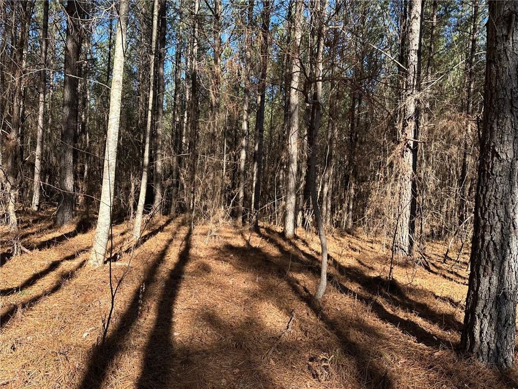 1107 Larmon Forks Rd., Dahlonega, GA 30533