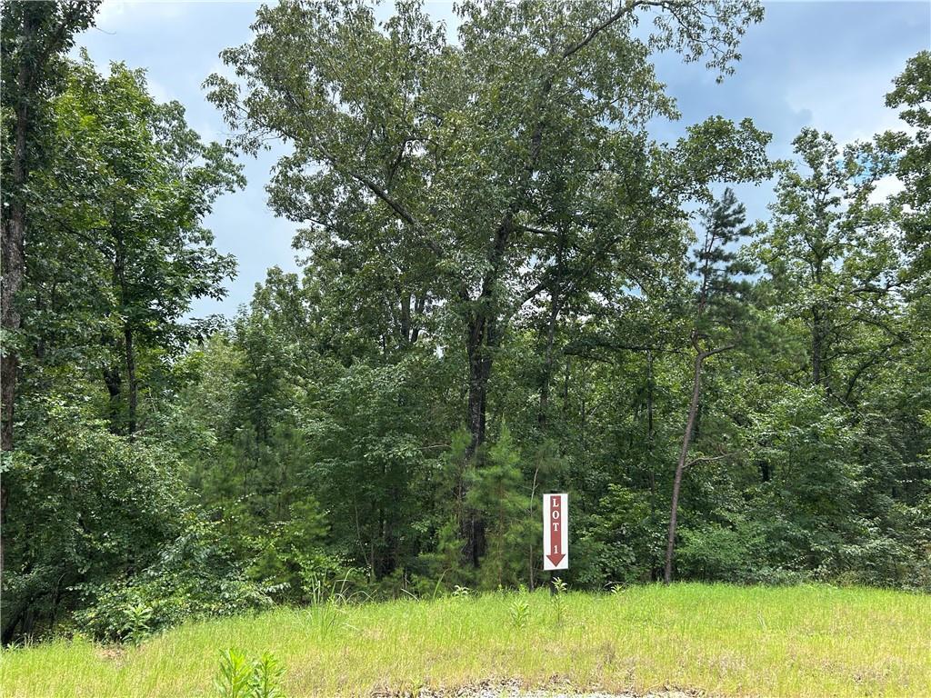 Hamilton Rd., Chattahoochee Hills, GA 30268