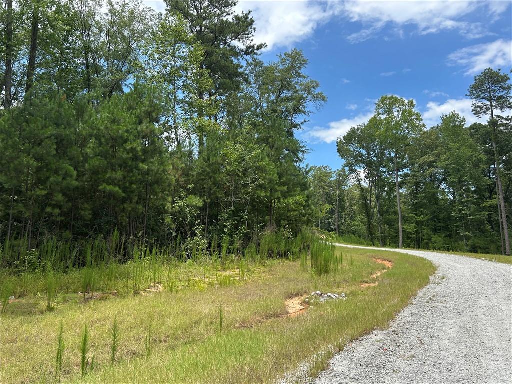 Hamilton Rd., Chattahoochee Hills, GA 30268