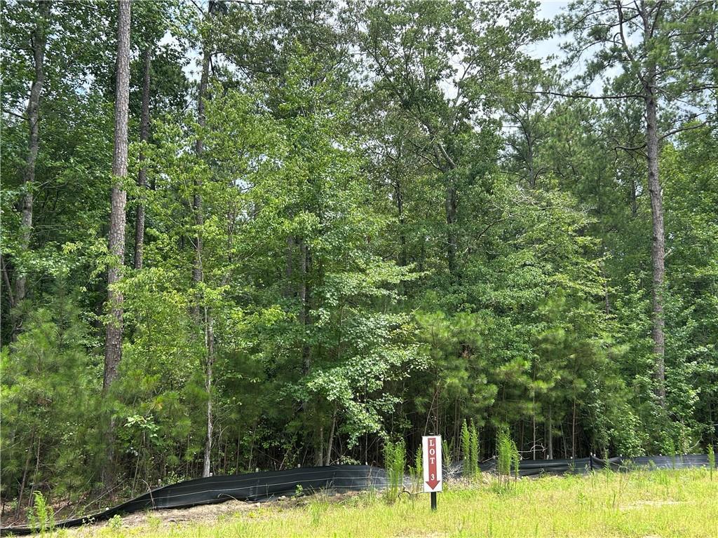 Hamilton Rd., Chattahoochee Hills, GA 30268