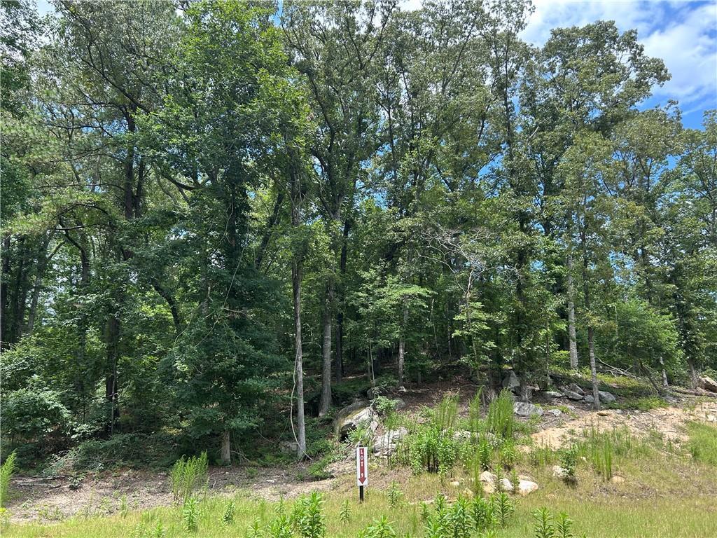 Hamilton Rd., Chattahoochee Hills, GA 30268