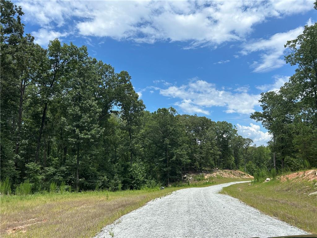Hamilton Rd., Chattahoochee Hills, GA 30268