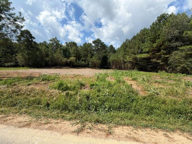 84 Popham Road Tract 2 & 3, Taylorsville, GA 30178