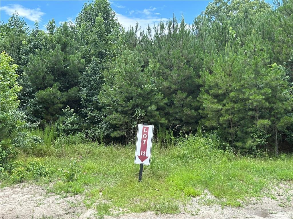 Hamilton Rd., Chattahoochee Hills, GA 30268