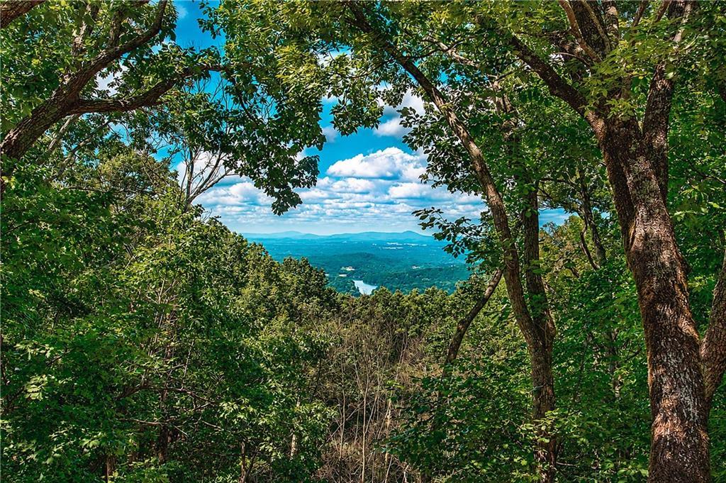300 Sassafras Mountain Tr., Jasper, GA 30143