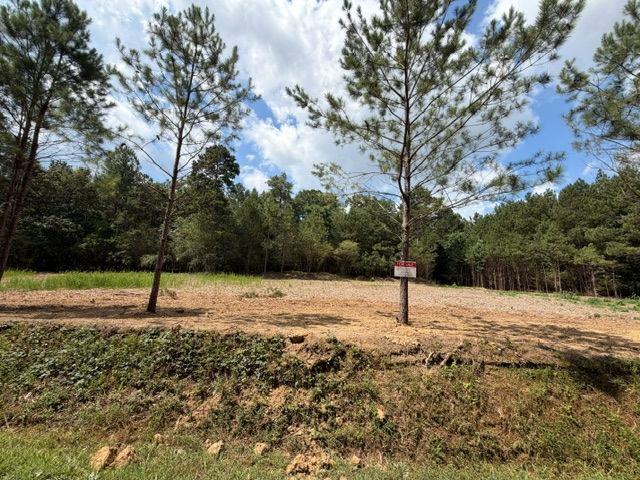 84 Popham Road Tract 1 & 2, Taylorsville, GA 30178
