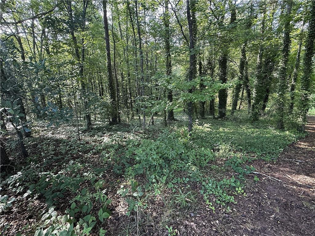 Boxer Ln., Cumming, GA 30028
