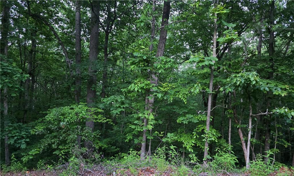 Old Mckaskey Creek Rd., Cartersville, GA 30121