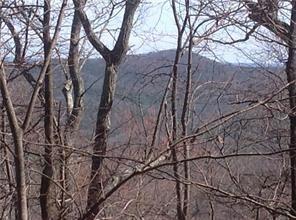 8112 Disharoon Dr., Big Canoe, GA 30143