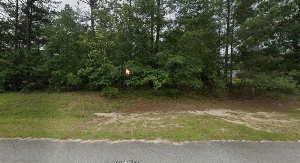 213 Briar Creek Run, Lizella, GA 31052