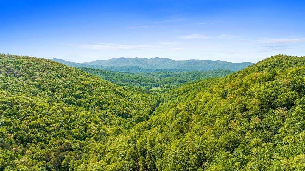 LOT 18 Cub Tr., Cherry Log, GA 30522